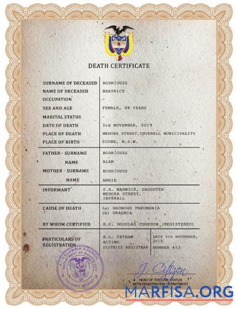Realistic Colombia vital record death certificate PSD template